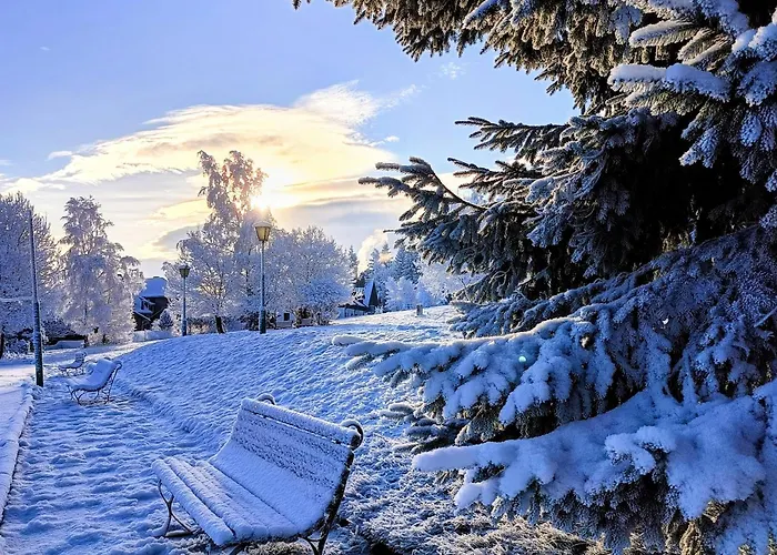 Osrodek Wypoczynkowy Przy Lesie Karpacz