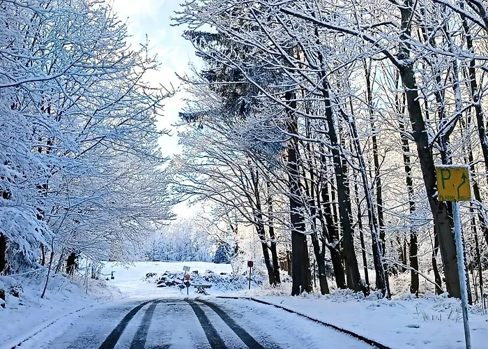 Osrodek Wypoczynkowy Przy Lesie Gasthuis Karpacz